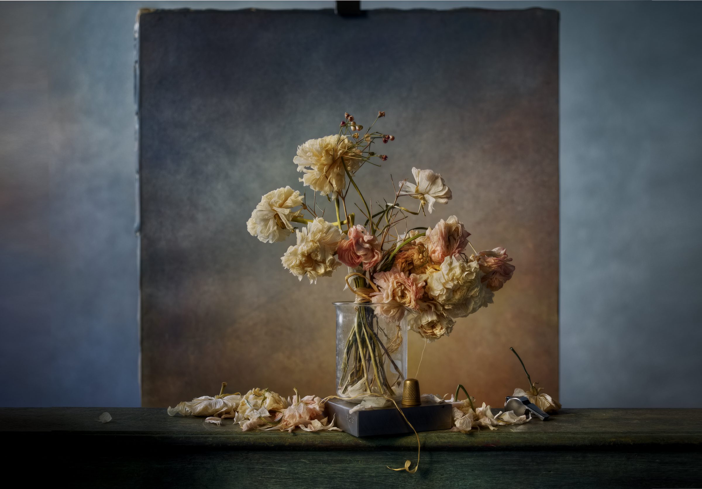 christopher-broadbent-dry-flowers-and-background