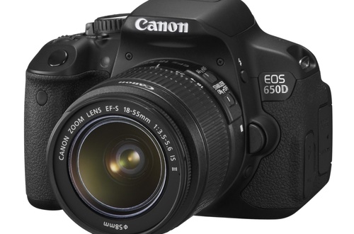 Тест Canon EOS 650D: улучшенный автофокус позволяет снимать в зоопарке любые сюжеты