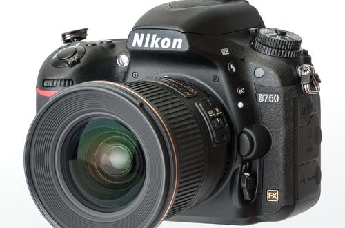 Тест Nikon D750: рыжий лис Патрикей хитро улыбнулся на камеру
