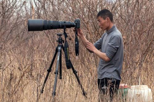 Полевой тест Nikon DF: новая классика в дикой природе