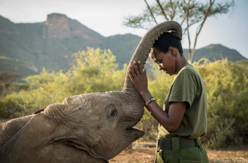 Фотограф дикой природы Ами Витале  рассказвает историю о заповеднике слонов в Кении