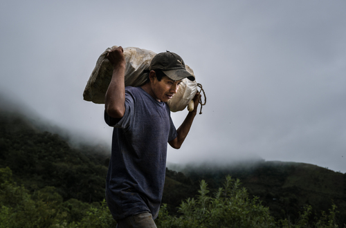 «Пока кукуруза не созреет» : проект испанского фотографа Лиз Аранго о голоде в Гватемале