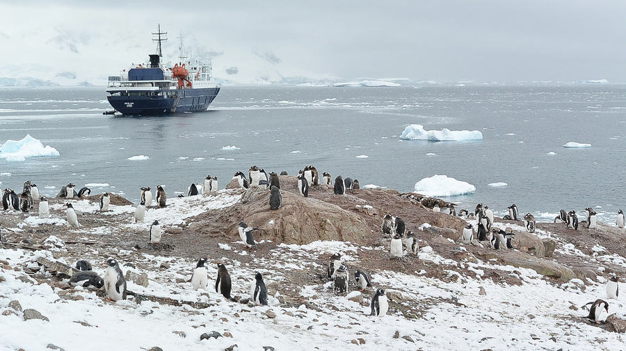 Антарктический пейзаж с пингвинами и кораблем